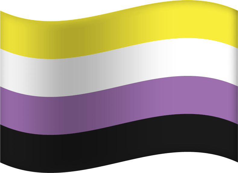 non-binary flag