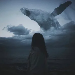 Symphocat - Long Whale Song