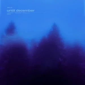 WilliX - until december