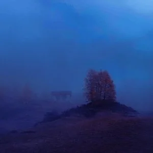 Hozuki - snowfield