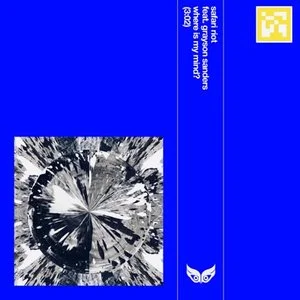 Safari Riot - Where Is My Mind