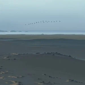 Reidenshi - fell asleep