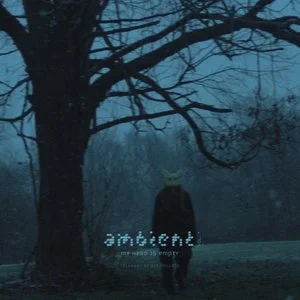 my head is empty - i was only temporary 2 u