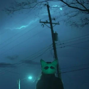 my head is empty - shadow of my former self