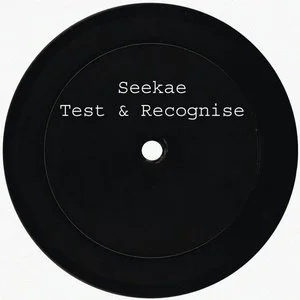 Seekae - Test & Recognise - Flume Re-work