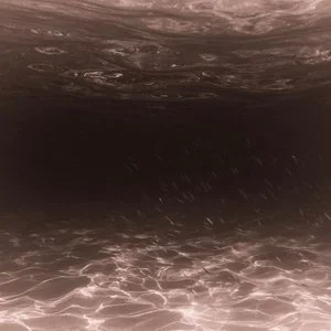Nowt - fluorescence