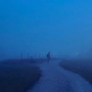 Øneheart - distorted memories