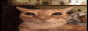 jsopn 88x31