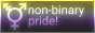 Non-binary Pride 88x31