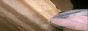 senkodev 88x31
